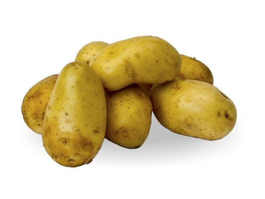Brambory - odrůda Antonie (bal. 3kg)